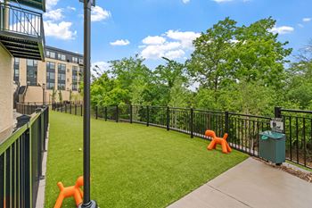 Pet park